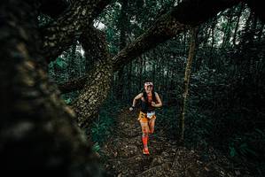 BIB: 
                            <button type="button" onclick="openModal(25683472)" class="btn btn-primary btn-sm float-right btn-popup" data-toggle="modal" data-target=".modal-high-quality">
                        <i class="fas fa-shopping-cart"></i> Add to Cart
                    </button>
                                            <button type="button" onclick="isThisMe(25683472, true)" class="btn btn-success btn-sm float-right btn-popup btn-isme hidden" data-toggle="tooltip" data-placement="bottom" title="นี่คือรูปของคุณใช่ไหม คลิกที่นี่เพื่อเอาเข้าอัลบั้ม">
                        <i class="fas fa-plus"></i> Add to album
                    </button>
                    <button type="button" onclick="isThisMe(25683472, false)" class="btn btn-warning btn-sm float-right btn-popup btn-isnotme hidden">
                        <i class="fas fa-ban"></i> Remove from album
                    </button>